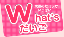 大護幼稚園について詳しく説明しています。