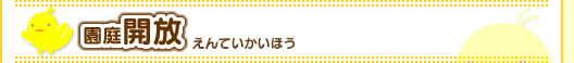 大護幼稚園の園庭開放